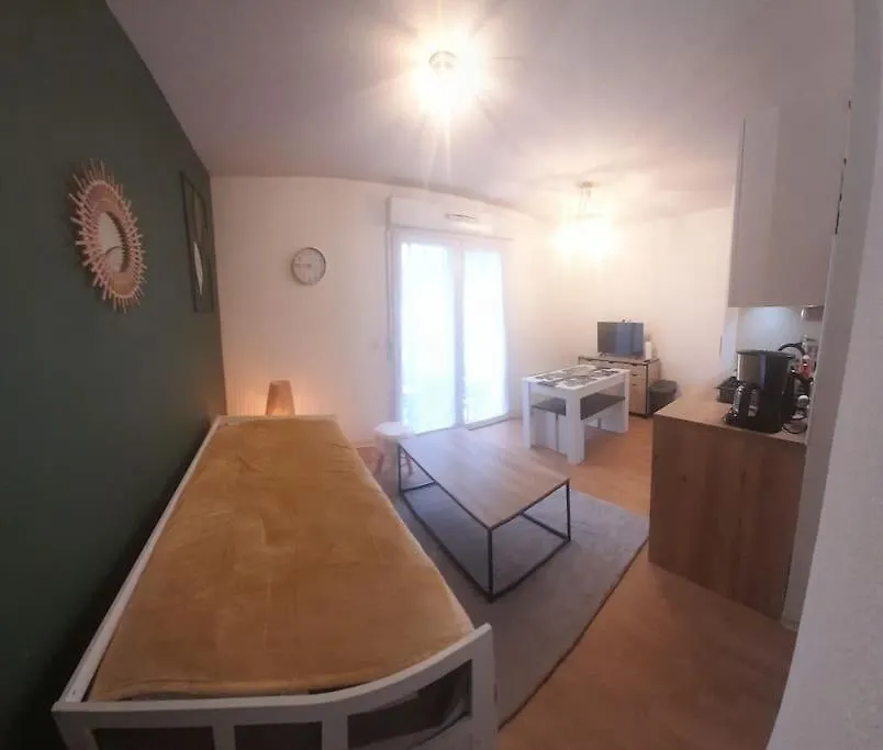 Appartement Du Mouflon Vert, Dans Residence De Tourisme 3 Etoiles Lourdes France